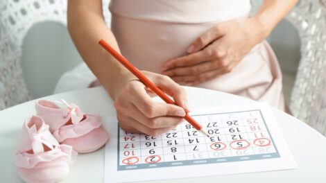 nėštumo kalendorius